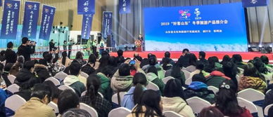 古城冬韵·乐在台儿庄★2019好客山东冬季旅游推介会攻略大全